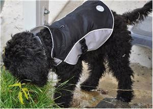 Jackets And Jumpers: Dog Raincoat