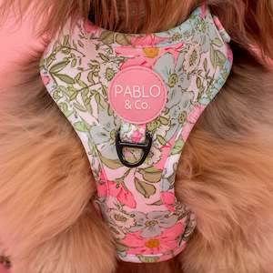 Flora and Fern: Adjustable Harness- Small