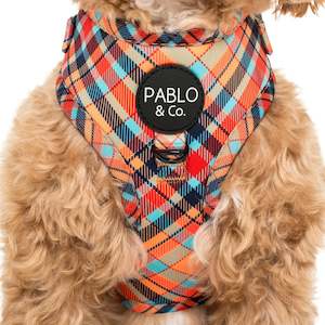 Harnesses: Tartan: Adjustable Harness- M