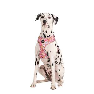 Harnesses: Pink Posies: Adjustable Harness- S