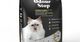 Kitty Fresh Odour Stop Clumping Cat Litter 10kg