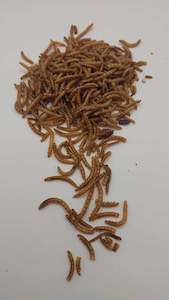 Chicken Treat: Simply Mealworms