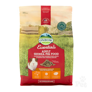 Small Animal: Essentials Adult Guinea Pig