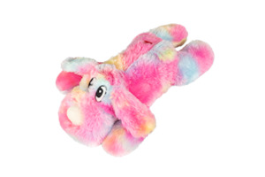 Training Equipment: Yours Droolly Dog Rainbow