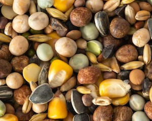 Bird Bedding Accessories: Soak & Sprout