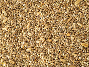 Bird Bedding Accessories: Budgie Mix