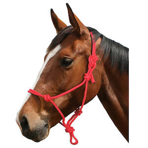 Horse Accessories: Rope Halter