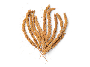 Millet Spray