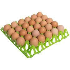 Plastic Egg Tray