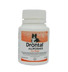 Products: Drontal Wormer Dog up to 10 kg Jen's Pet Supplies