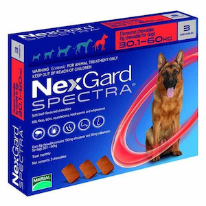 Nexgard Spectra 30-60kg 3 pack Jen's Pet Supplies