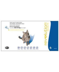 Products: Revolution Cat 6 Pack Jen's Pet Supplies