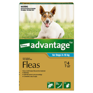 Advantage Dog 4-10kg 4 pack Jen's Pet Supplies