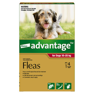 Advantage for Dogs 10 - 25kg 4 pack Jen's Pet Supplies