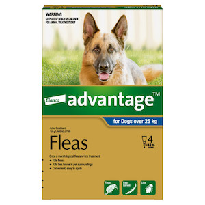 Advantage for Dogs over 25kg 4 pack Jen's Pet Supplies