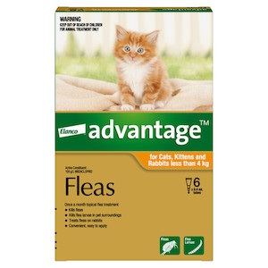 Advantage for small cats, kittens and rabbits (less than 4 kg) 6 pack Jen's Pet Supplies