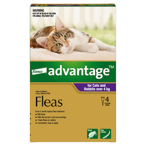 Advantage for Large Cats and Rabbits (over 4kg) 4 pack Jen's Pet Supplies
