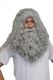 Deluxe Wizard Wig and Beard Set