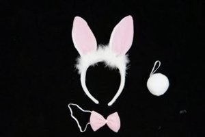 Products: Bunny Set