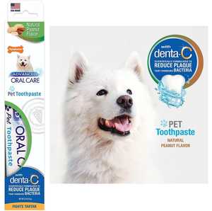 Products: Nylabone Advanced Oral Care Pet Toothpaste Peanut Flavour 70 grams - Petworkz