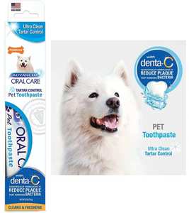 Nylabone Advanced Oral Care Pet Toothpaste Original Flavour 70 grams - Petworkz