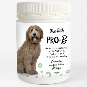 Olive's Kitchen Pro-B Dog Supplement 250gm - Petworkz