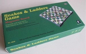 10′ Magnetic Snakes & Ladders – PGNZ