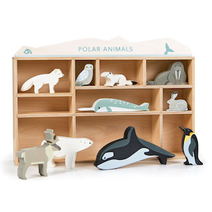 1 Piece Polar Animals Display Shelf Set – PGNZ