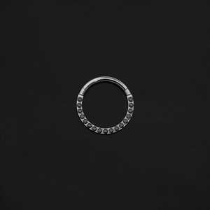 ASTM F136 Implant Grade Titanium Paved Black Hinged Ring Clicker