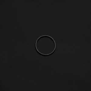 ASTM F136 Implant Grade Titanium 20 Gauge Black Hinged Ring Clicker Nose Ring