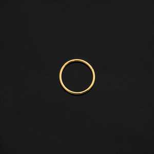 ASTM F136 Implant Grade Titanium 20 Gauge Gold Hinged Ring Clicker Nose Ring