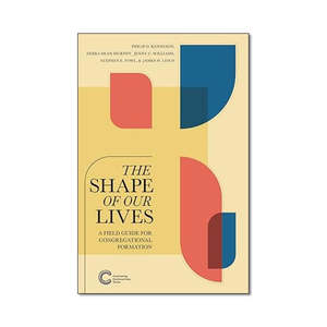 Mission Ministry: The Shape of Our Lives - Print