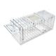 Cage Trap