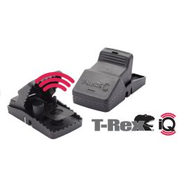 Traps: T-Rex IQ Trap