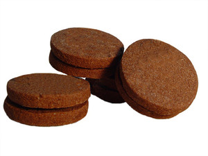 Biscuits: BISCUITS Jaffa GF/DF 6pp