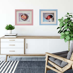 Not On Sale: Baby Frames