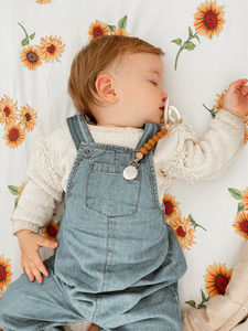 Products: Dummy Clips - Mama Bear