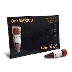 Electrophoresis And Related: Bio-Helix OmniMark 1K (BH OneMARK B Plus) DNA Ladder RTU（100-10,000 bps) DMF13-0100 / DM115-0100