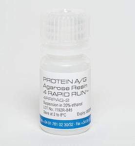 Protein Purification And Accessories: Protein A/G Agarose Resin 4 Rapid Run