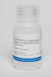 Protein Purification And Accessories: PROTEIN A Resin 4 RAPID RUN
