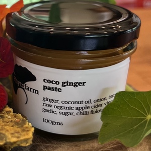 coco ginger paste