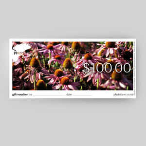 Products: gift voucher 100.00