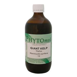 Liquid Herbal Extracts: Giant Kelp thallus 1:2