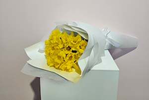 Beautiful Spring: Daffodils