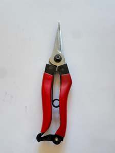 Furniture And Garden Items: Takagi Japanese Secateurs