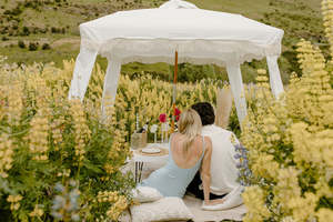 Picnic in Lupins