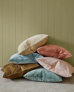 Products: Beau Velvet Cushions 50 x 50