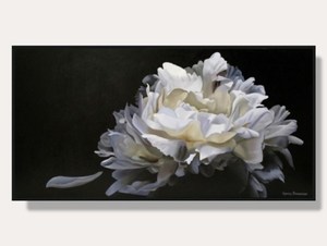 Pavlova Peony By Lynley Brownridge Framed Print