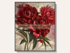 Red Peonies Framed Print By Svetiana Orinko