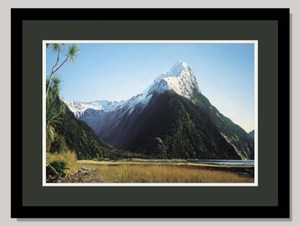 Southern Icon Framed Limited Edition Print By Grant McSherry